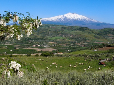 Landscape around Mount Etna