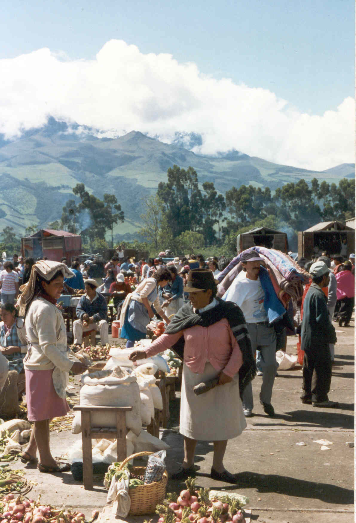 Food Market in Machachi, Ecuador (Photo by IUFRO)