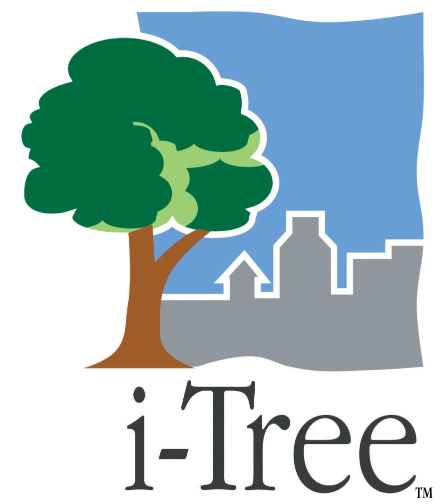 Me tree. Дерево парк логотип. Логотип эко Академия. ITREE logo.